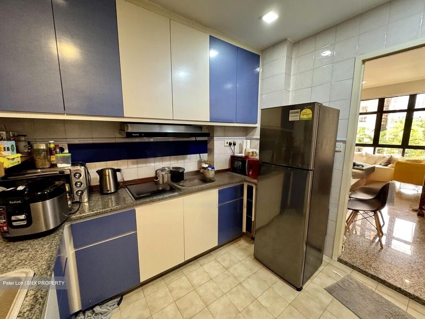 Dover Parkview (D5), Condominium #453294991